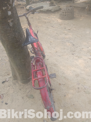 সাইকেল