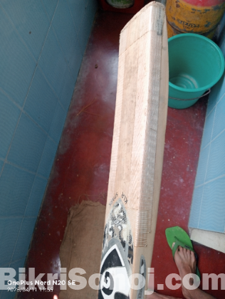 Sg cricket bat Kashmir willow
