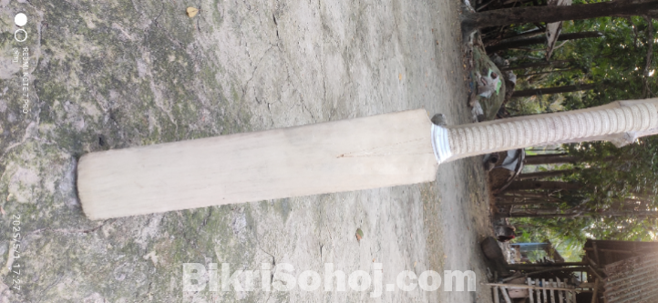 ক্রিকেট ব্যাট