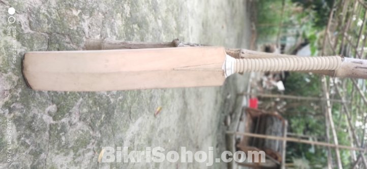ক্রিকেট ব্যাট