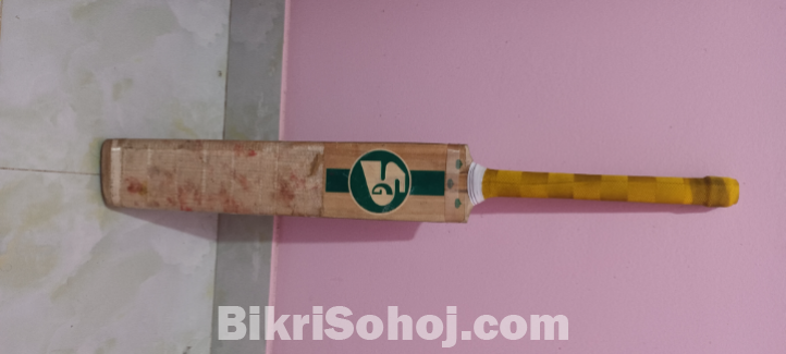 Cricket bowl er Bat