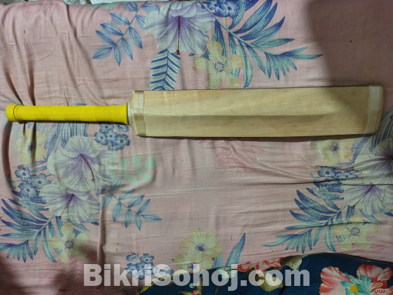 Cricket bat