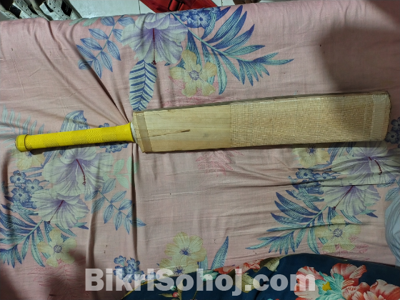 Cricket bat