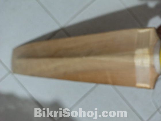 Cricket bat