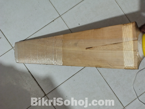 Cricket bat
