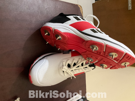 Cricket spike shoes