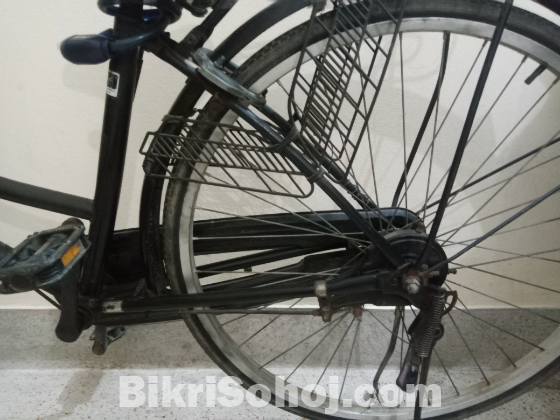 Japanese cycle