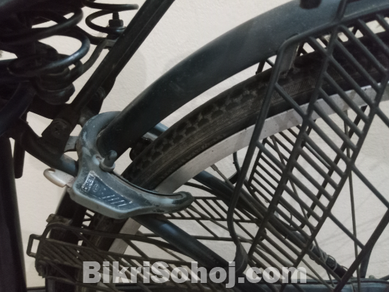 Japanese cycle