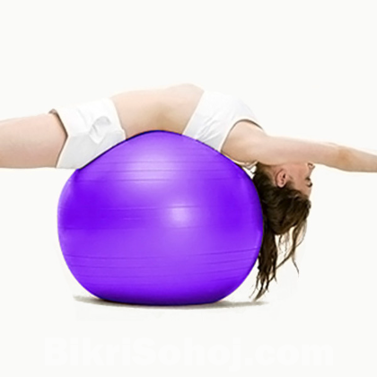 Gymnastic Exercise Ball With Pumper - Multi-Colour