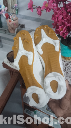 Bengal boots