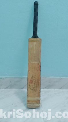 Kashmir Willow Cricket Bat (Leather Ball)