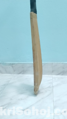 Kashmir Willow Cricket Bat (Leather Ball)