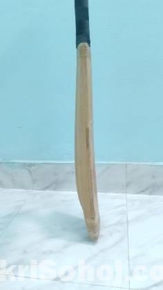 Kashmir Willow Cricket Bat (Leather Ball)
