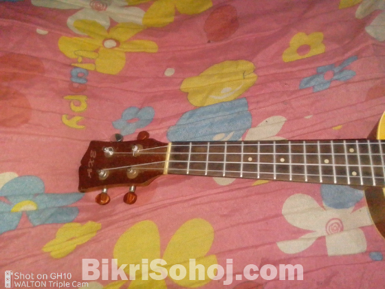 Ukulele