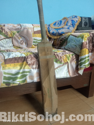 Cricket bat