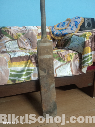Cricket bat
