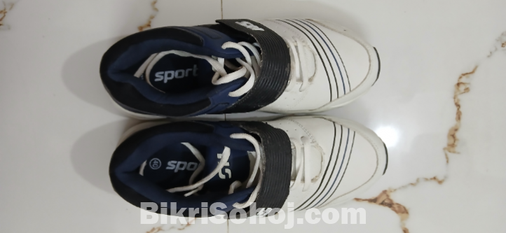 HS Rubber Spike Cricket Shoe(40 size)