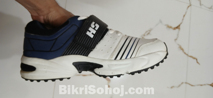 HS Rubber Spike Cricket Shoe(40 size)