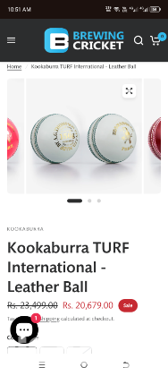 Original Kookaburra TURF International Leather Ball