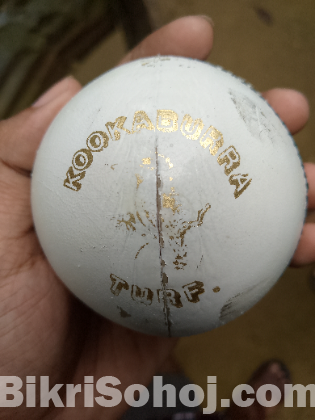 Original Kookaburra TURF International Leather Ball