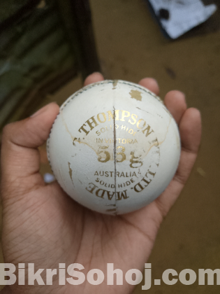 Original Kookaburra TURF International Leather Ball