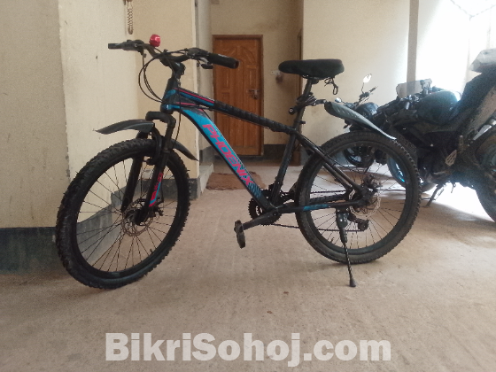 Phonix Brand Saikel
