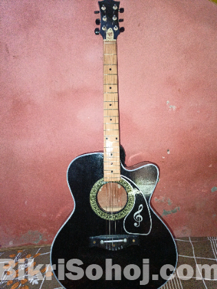 Guitar