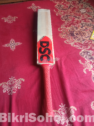 Premium Kashmiri willow Bat