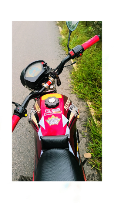 Runner-bike rt