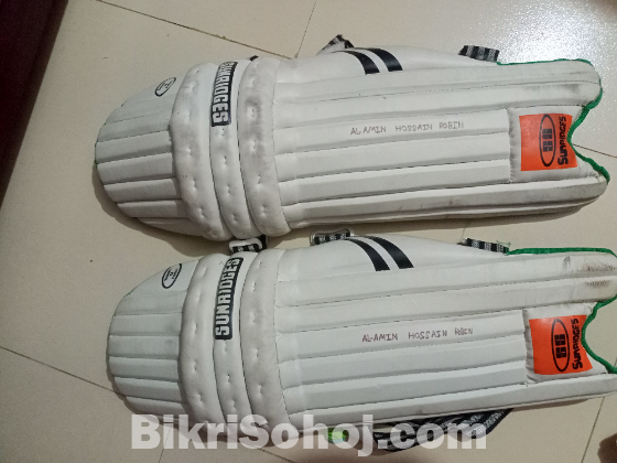 ক্রিকেটের পন্য।