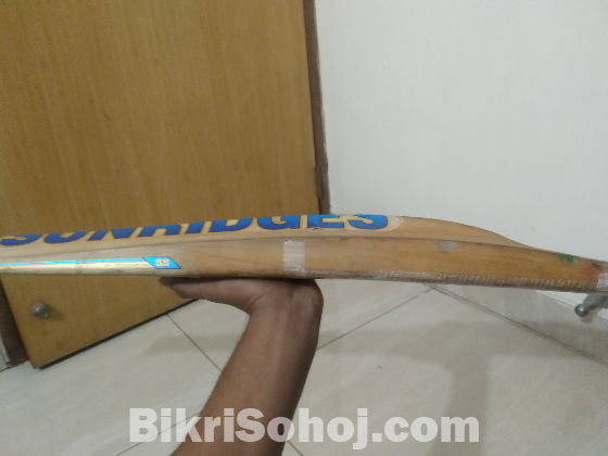 SS cricket bat