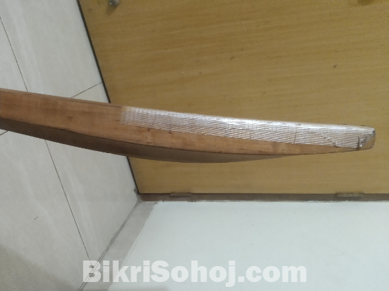 Kookaburra cricket bat