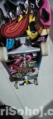 Skate board