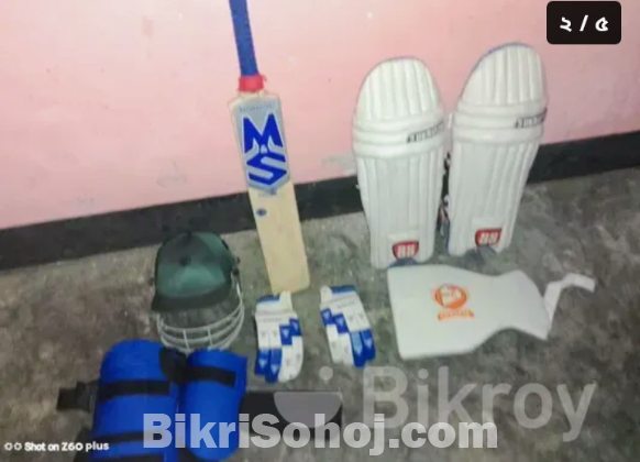 Cricket set