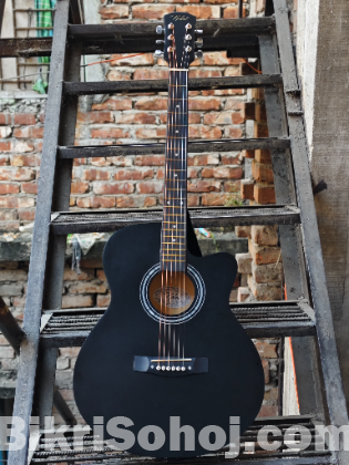 Acoustic Guitar