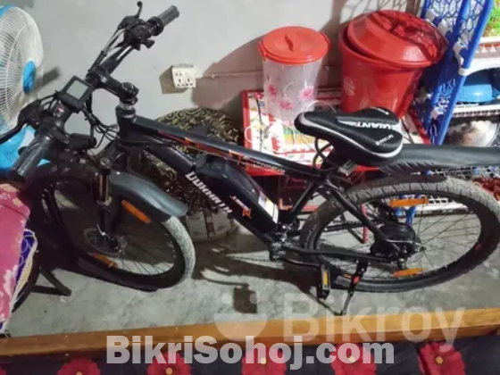 Duranto Electronic cycle