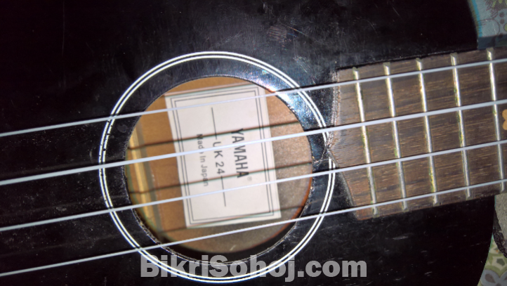 Ukelele 24