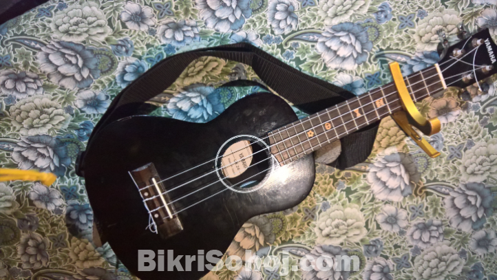 Ukelele 24