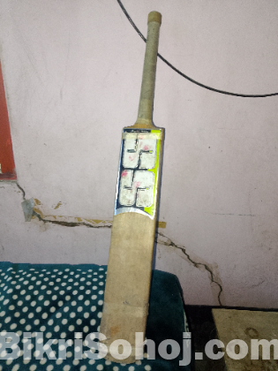Cricket Bat