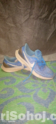 NIKE zoom PEGASUS 35