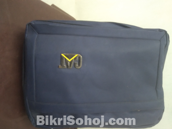 ক্যাট ব্যাগ