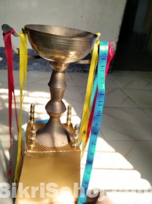 Brass Trophy 16 inch