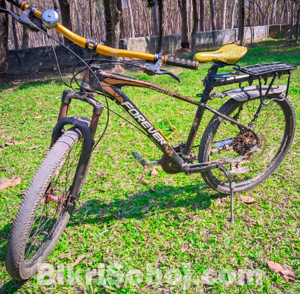forever sports bicycle