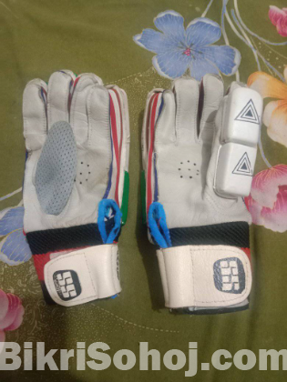 Cricket gloves