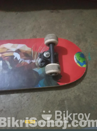 Skateboard