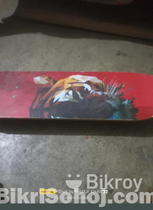Skateboard