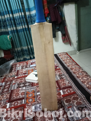 Cricket Bat