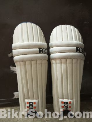 Cricket pad and guards