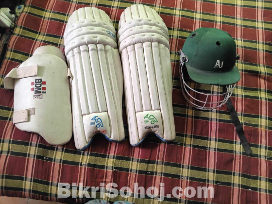 Cricket set