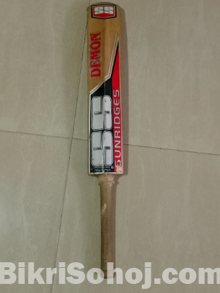 SS Cricket bat